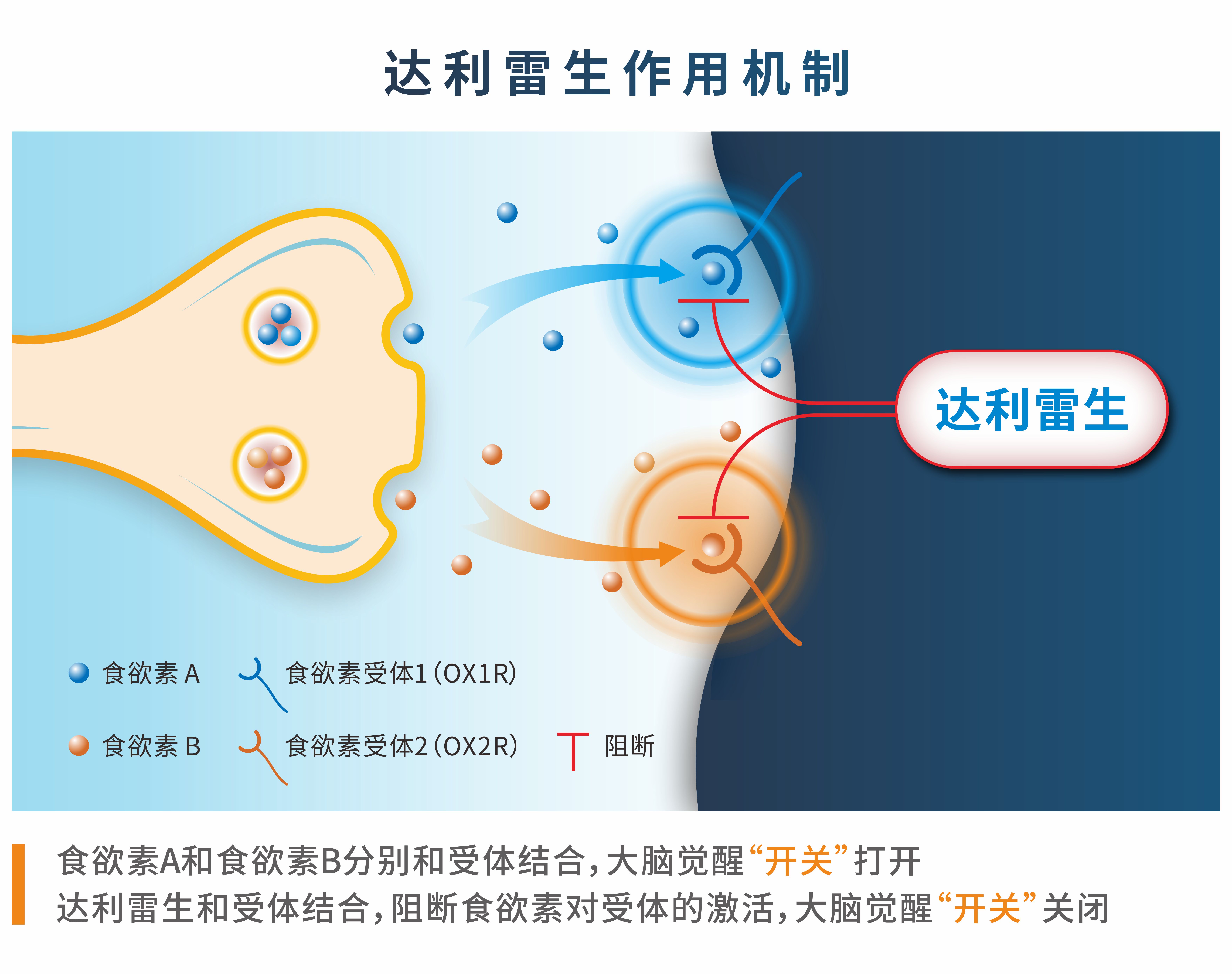 機制圖定稿.jpg 機制圖定稿.jpg